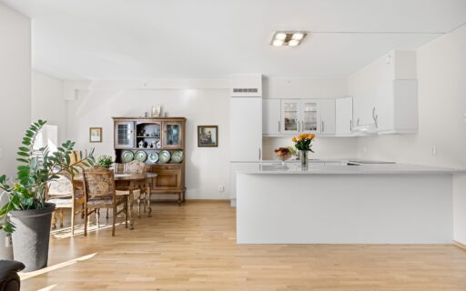 caldera de gas o termo eléctrico